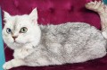 https://www.waibe.fr/sites/delphine59h/medias/images/__HIDDEN__galerie_23/IMG_20250612_161351.jpg