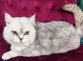 https://www.waibe.fr/sites/delphine59h/medias/images/__HIDDEN__galerie_23/IMG_20250612_170706.jpg