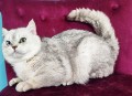 https://www.waibe.fr/sites/delphine59h/medias/images/__HIDDEN__galerie_23/IMG_20250612_171016.jpg