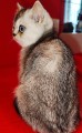https://www.waibe.fr/sites/delphine59h/medias/images/__HIDDEN__galerie_24/IMG_20250313_152022.jpg