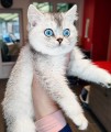 https://www.waibe.fr/sites/delphine59h/medias/images/__HIDDEN__galerie_24/IMG_20250313_152223.jpg