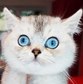 https://www.waibe.fr/sites/delphine59h/medias/images/__HIDDEN__galerie_24/IMG_20250313_152330.jpg