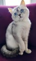 https://www.waibe.fr/sites/delphine59h/medias/images/__HIDDEN__galerie_24/IMG_20250612_182812.jpg