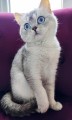 https://www.waibe.fr/sites/delphine59h/medias/images/__HIDDEN__galerie_24/IMG_20250612_182846.jpg