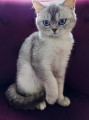 https://www.waibe.fr/sites/delphine59h/medias/images/__HIDDEN__galerie_24/IMG_20250612_183024.jpg