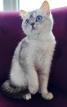 https://www.waibe.fr/sites/delphine59h/medias/images/__HIDDEN__galerie_24/IMG_20250612_183114.jpg