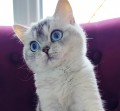 https://www.waibe.fr/sites/delphine59h/medias/images/__HIDDEN__galerie_24/IMG_20250612_183204.jpg
