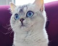 https://www.waibe.fr/sites/delphine59h/medias/images/__HIDDEN__galerie_24/IMG_20250612_183340.jpg