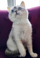 https://www.waibe.fr/sites/delphine59h/medias/images/__HIDDEN__galerie_24/IMG_20250612_183450.jpg