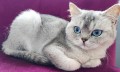 https://www.waibe.fr/sites/delphine59h/medias/images/__HIDDEN__galerie_24/IMG_20250612_183944.jpg