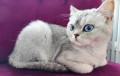 https://www.waibe.fr/sites/delphine59h/medias/images/__HIDDEN__galerie_24/IMG_20250612_191628.jpg