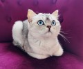 https://www.waibe.fr/sites/delphine59h/medias/images/__HIDDEN__galerie_24/IMG_20250612_191839.jpg
