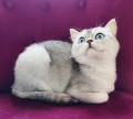 https://www.waibe.fr/sites/delphine59h/medias/images/__HIDDEN__galerie_24/IMG_20250612_191937.jpg