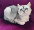 https://www.waibe.fr/sites/delphine59h/medias/images/__HIDDEN__galerie_24/IMG_20250612_192041.jpg