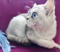 https://www.waibe.fr/sites/delphine59h/medias/images/__HIDDEN__galerie_24/IMG_20250612_192144.jpg