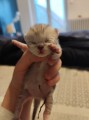 https://www.waibe.fr/sites/delphine59h/medias/images/__HIDDEN__galerie_25/IMG_20251006_191355.jpg