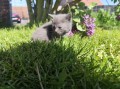 https://www.waibe.fr/sites/delphine59h/medias/images/__HIDDEN__galerie_25/IMG_20260424_163736.jpg