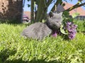 https://www.waibe.fr/sites/delphine59h/medias/images/__HIDDEN__galerie_25/IMG_20260424_163740_1.jpg