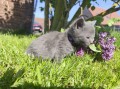 https://www.waibe.fr/sites/delphine59h/medias/images/__HIDDEN__galerie_25/IMG_20260424_163742.jpg