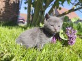 https://www.waibe.fr/sites/delphine59h/medias/images/__HIDDEN__galerie_25/IMG_20260424_163744.jpg