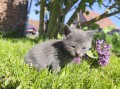 https://www.waibe.fr/sites/delphine59h/medias/images/__HIDDEN__galerie_25/IMG_20260424_163745.jpg