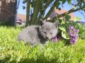 https://www.waibe.fr/sites/delphine59h/medias/images/__HIDDEN__galerie_25/IMG_20260424_163749.jpg