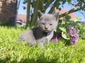 https://www.waibe.fr/sites/delphine59h/medias/images/__HIDDEN__galerie_25/IMG_20260424_163750.jpg