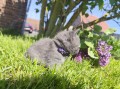 https://www.waibe.fr/sites/delphine59h/medias/images/__HIDDEN__galerie_25/IMG_20260424_163756.jpg