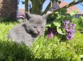 https://www.waibe.fr/sites/delphine59h/medias/images/__HIDDEN__galerie_25/IMG_20260424_163800.jpg