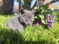 https://www.waibe.fr/sites/delphine59h/medias/images/__HIDDEN__galerie_25/IMG_20260424_163800_1.jpg