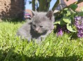 https://www.waibe.fr/sites/delphine59h/medias/images/__HIDDEN__galerie_25/IMG_20260424_163802.jpg