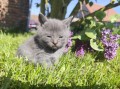 https://www.waibe.fr/sites/delphine59h/medias/images/__HIDDEN__galerie_25/IMG_20260424_163805.jpg