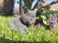 https://www.waibe.fr/sites/delphine59h/medias/images/__HIDDEN__galerie_25/IMG_20260424_163806.jpg