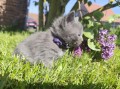 https://www.waibe.fr/sites/delphine59h/medias/images/__HIDDEN__galerie_25/IMG_20260424_163807.jpg