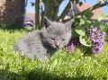 https://www.waibe.fr/sites/delphine59h/medias/images/__HIDDEN__galerie_25/IMG_20260424_163809.jpg