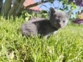 https://www.waibe.fr/sites/delphine59h/medias/images/__HIDDEN__galerie_25/IMG_20260424_163812.jpg