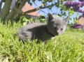 https://www.waibe.fr/sites/delphine59h/medias/images/__HIDDEN__galerie_25/IMG_20260424_163814.jpg