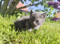 https://www.waibe.fr/sites/delphine59h/medias/images/__HIDDEN__galerie_25/IMG_20260424_163816.jpg