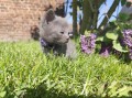 https://www.waibe.fr/sites/delphine59h/medias/images/__HIDDEN__galerie_25/IMG_20260424_163821.jpg