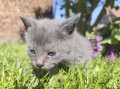 https://www.waibe.fr/sites/delphine59h/medias/images/__HIDDEN__galerie_25/IMG_20260424_163832.jpg