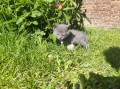 https://www.waibe.fr/sites/delphine59h/medias/images/__HIDDEN__galerie_25/IMG_20260424_163848.jpg