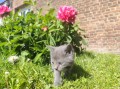 https://www.waibe.fr/sites/delphine59h/medias/images/__HIDDEN__galerie_25/IMG_20260424_163855.jpg