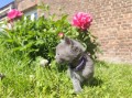 https://www.waibe.fr/sites/delphine59h/medias/images/__HIDDEN__galerie_25/IMG_20260424_163856.jpg