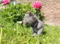 https://www.waibe.fr/sites/delphine59h/medias/images/__HIDDEN__galerie_25/IMG_20260424_163857.jpg