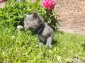https://www.waibe.fr/sites/delphine59h/medias/images/__HIDDEN__galerie_25/IMG_20260424_163858.jpg