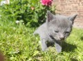 https://www.waibe.fr/sites/delphine59h/medias/images/__HIDDEN__galerie_25/IMG_20260424_163901.jpg