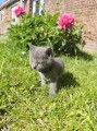 https://www.waibe.fr/sites/delphine59h/medias/images/__HIDDEN__galerie_25/IMG_20260424_163909_1.jpg