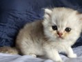 https://www.waibe.fr/sites/delphine59h/medias/images/__HIDDEN__galerie_25/IMG_20260908_142057.jpg