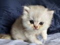 https://www.waibe.fr/sites/delphine59h/medias/images/__HIDDEN__galerie_25/IMG_20260908_142058.jpg