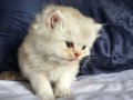 https://www.waibe.fr/sites/delphine59h/medias/images/__HIDDEN__galerie_25/IMG_20260908_142100.jpg